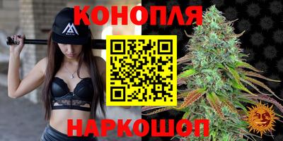 не бодяженный Гатчина