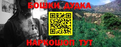 гидра Гагарин