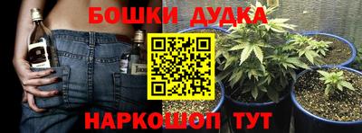 не бодяженный Гатчина
